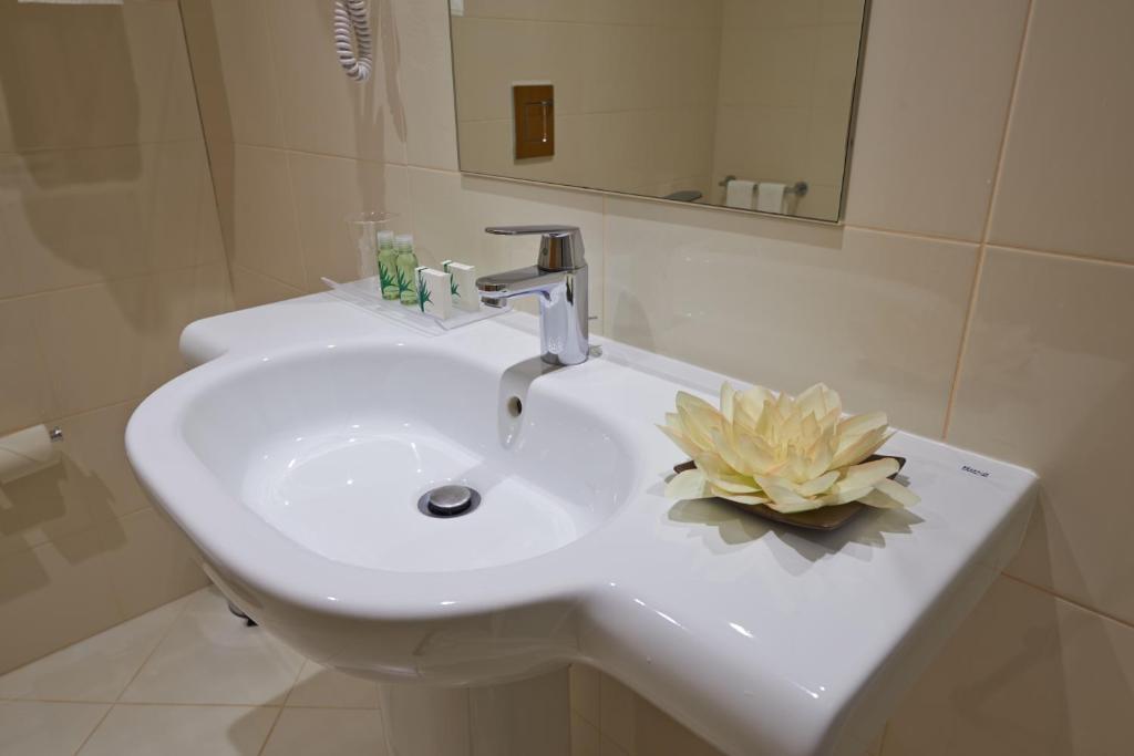 Hotel Azinheira By Ridan Hotels 파티마 객실 사진