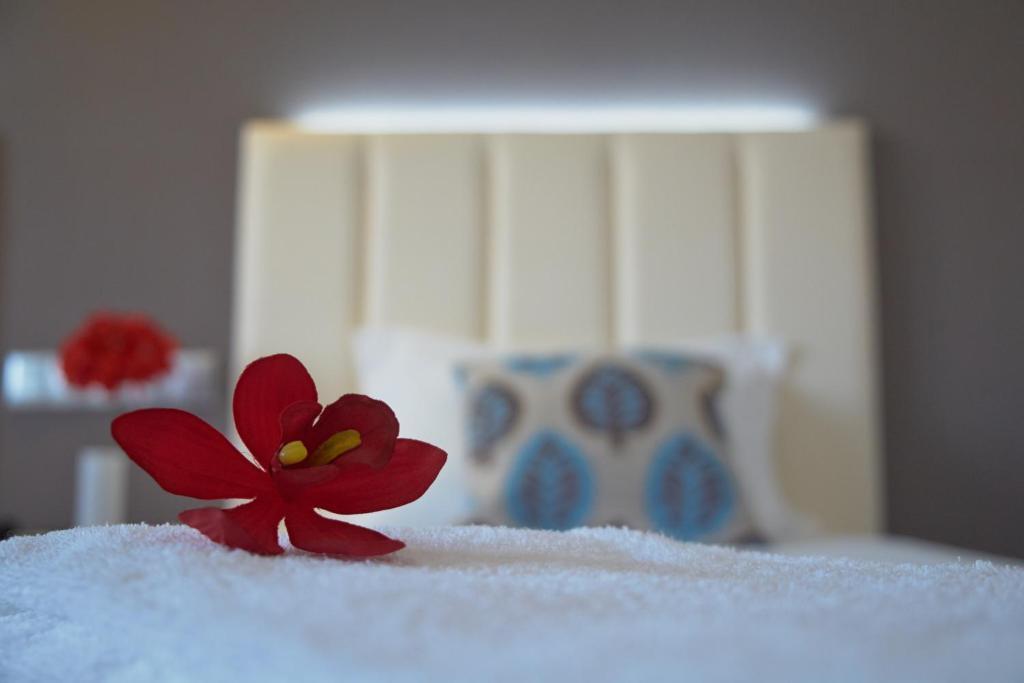 Hotel Azinheira By Ridan Hotels 파티마 객실 사진